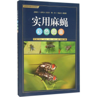 醉染图书实用麻蝇彩色图鉴9787566817075