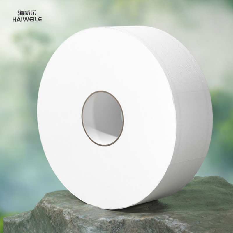 海威乐(HAIWEILE) HWL-SHZ002 四层 700g/卷 卫生纸 1.00 提/卷 (计价单位:卷) 白色