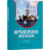 正版新书]油气经济评价理论与应用邓子渊 编著9787511463685