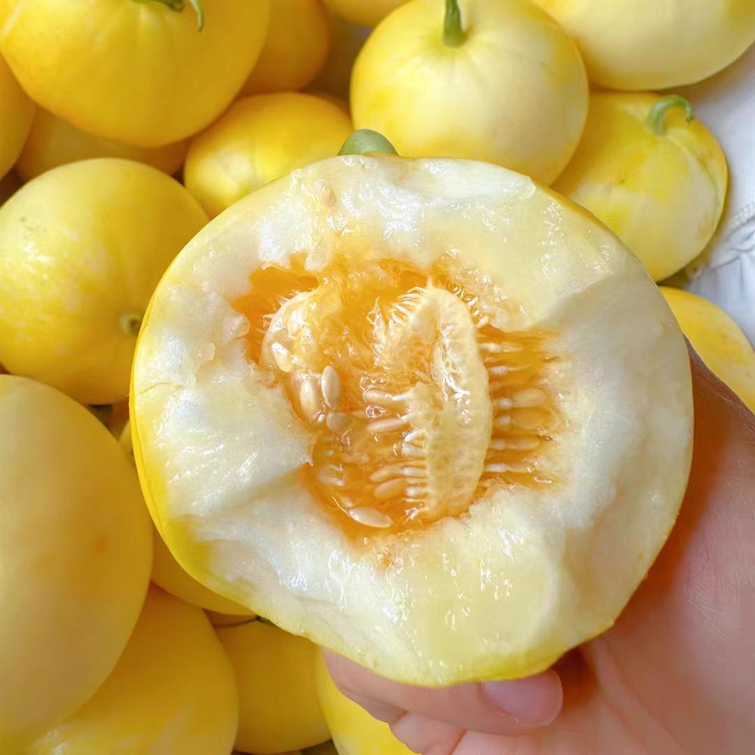 [西沛生鲜]星甜蜜罐甜瓜 净重4.5斤