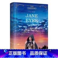 简爱 [正版]全英文原版小说经典原著小王子/傲慢与偏见/动物庄园/老人与海/简爱/人性的弱点/ 海底两万里全英文外国文学