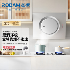 老板(ROBAM)油烟机 18.5m³大吸力 小尺寸抽油烟机侧吸 吸油烟机 单烟机 抽烟机 脱排油烟机21A6H