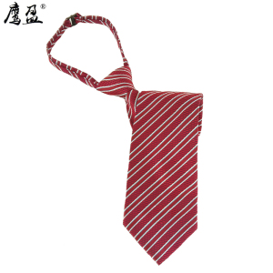 鹰盈 拉链式领带 均码 一条