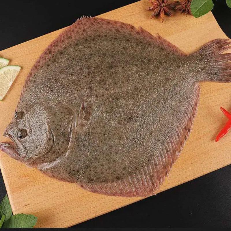 赛卡伊 [不鲜包退]多宝鱼新鲜比目鱼陵鲆鱼海捕新鲜活冻海鲜八宝鱼 1