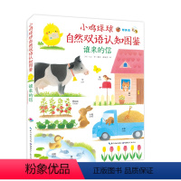 小鸡球球的大成长:小鸡球球自然双语认知图鉴 谁来的信(平) [正版]点读版小鸡球球自然认知图鉴谁来的信 平装 中英双语