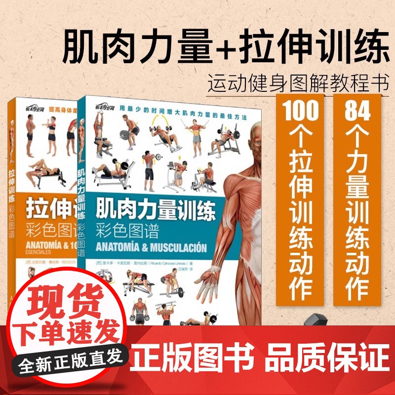 [正版新书]肌肉力彩色图谱共2本运动健身肌肉拉伸书籍囚徒健身科学运动健美增肌无器械健身教练 正版书籍