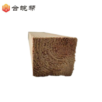 方木桩 50×50×500mm