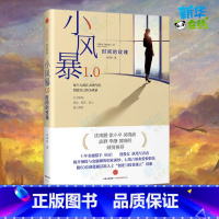 [正版]小风暴1.0 肖茉莉 著 职场小说文学 书店图书籍 出版社