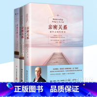 通往灵魂的桥梁 [正版] 亲密关系系列3本套 亲子关系篇+无拘无束的关系+通往灵魂的桥梁 克里斯多福孟著恋爱婚姻婚恋