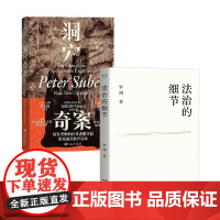 法治的细节+洞穴奇案 罗翔等 著 罗翔 哈佛法学博士评讲 法哲学寓言式文献 得到逻辑思维镇馆系列 法律通识知识 法律原则