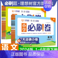 数学 人教版 二年级下 [正版]2024小学必刷卷下册语文数学人教版北师版苏教版一二年级三年级四年级五六年级练习册单元同