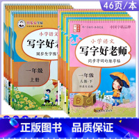 2年级上册 [正版]2024适用小学初中语文写字好老师人教版1一2二3三4四5五6六7七8八9九年级上册同步生字练字帖书