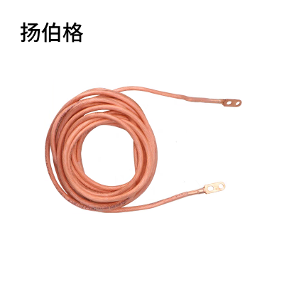 扬伯格 铜护套线 50平方×12m国标双孔线鼻子 根