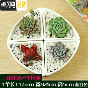 三维工匠多肉花盆白色陶瓷盆长方形肉肉植物简约白瓷多肉盆小绿植花卉盆器 三角拼盘[11.5X8.4X5] 中等花盆容器