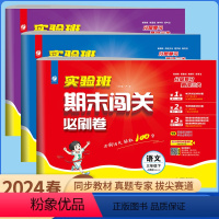新版⭐语文+数学+英语人教版[3本套装] 三年级下 [正版]2024春小学实验班期末闯关必刷卷一二三四五六年级下册语文人