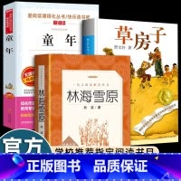 [全套3册]六年级下必读 [正版]曹文轩草房子童年高尔基原著林海雪原六年级必读课外书老师经典阅读江苏少年儿童人民文学出版