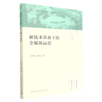 音像新技术下的全媒体运营/大学文库王凯山,陈迟