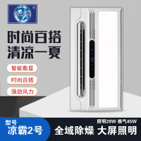 顶回美 智能电器(凉霸2号)智能吹风换气二合一嵌入式厨房卫生间凉霸