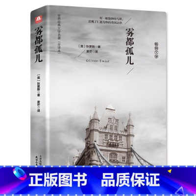 雾都孤儿 [正版]精装46万字雾都孤儿 全译本 原著 狄更斯 世界名著 籍名家名译版 青少年阅读外国文学小说 中学生要读