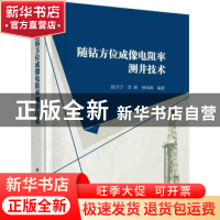 正版 随钻方位成像电阻率测井技术 编者:倪卫宁//李新//孙伟峰|责