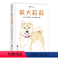 [正版]感恩 柴犬莉莉 灾后忠狗忍饥挨饿苦寻主人 爱与忠诚的故事 儿童动物主题桥梁书