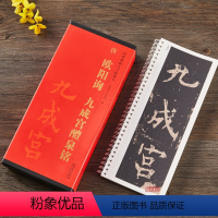 [正版]共3本 欧阳询九成宫醴泉铭临摹字卡 欧体楷书毛笔字帖学生成人临摹练习 传世碑帖大字临摹卡 简体旁注 安徽美术出