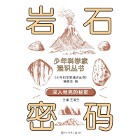 正版新书]少年科学家通识丛书--岩石密码编委会 著9787520213806