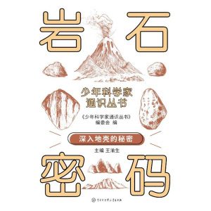 正版新书]少年科学家通识丛书--岩石密码编委会 著9787520213806