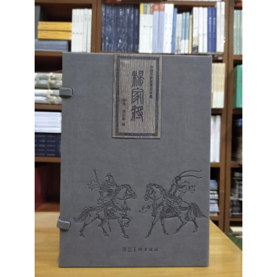 醉染图书杨家将(大精装)9787531093534