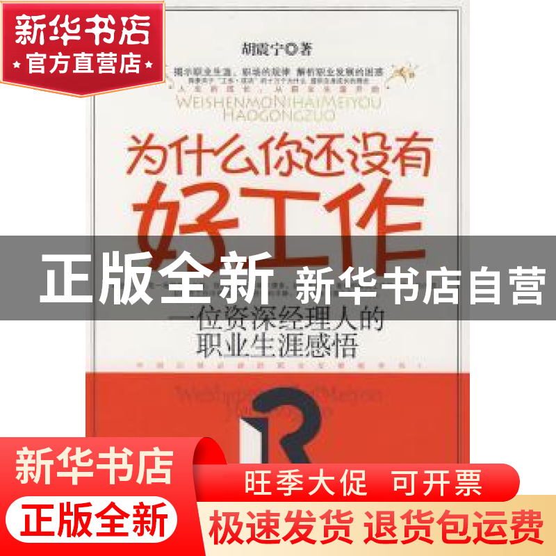 正版 为什么你还没有好工作:一位资深经理人的职业生涯感悟 胡震