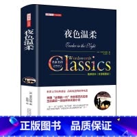 夜色温柔 [正版]夜色温柔菲茨杰拉德原著中文全译本完整无删减 初高中学生青少年成人课外阅读书籍 世界经典文学名著外国小说