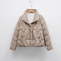 冬季保暖新款羽绒服女立领修身气质小个子简约纯色外套潮