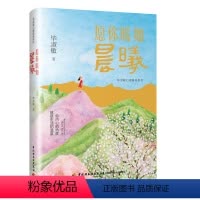 [正版]愿你暖如晨曦 毕淑敏心理森林系列