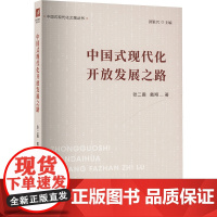 正版 中国式现代化开放发展之路 江苏人民出版社 张二震,戴翔 著 经济理论