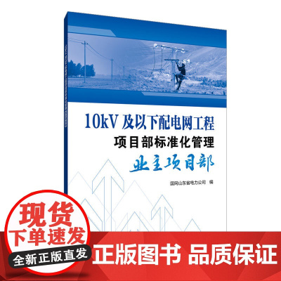10kV及以下配电网工程项目部标准化管理 业主项目
