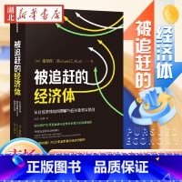 [正版]被追赶的经济体 辜朝明新作 探讨资产负债表衰退与全球化背景下的政策选择 金融时报2023年夏季经济学图书 市场