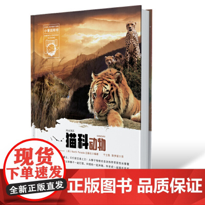 小爱因斯坦 神奇星球大百科(第一辑) 猫科动物