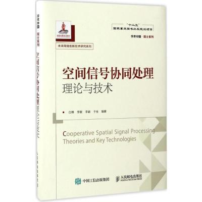 正版新书]空间信号协同处理理论与技术白琳9787115412409