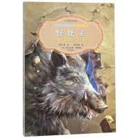 [N]野猪王(汉英对照)/沈石溪动物小说双语系列-9787511047335