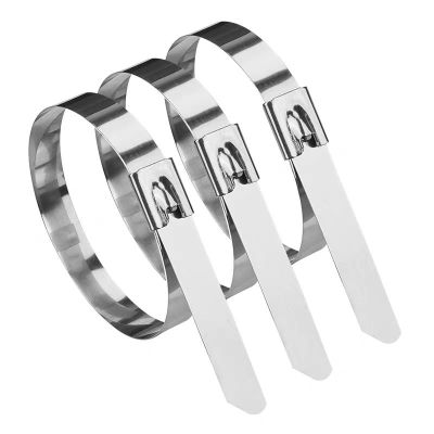 盛京联硕 304不锈钢扎带10×650mm根