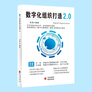 正版新书]数字化组织打造2.0史楠编著9787519916343