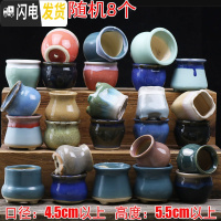 三维工匠陶瓷特小号多肉植物多色套装控型迷你多肉拇指肉肉花盆创意 拇指盆(随机8个) 中小花盆容器
