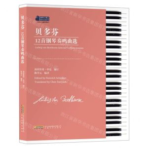 [N]贝多芬12首钢琴奏鸣曲选(适合6-10级程度练习)/钢琴小博士曲库乐谱系列-9787539672069