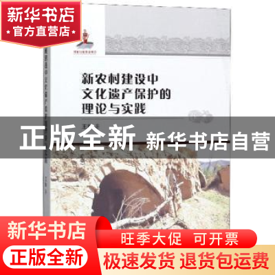 正版 新农村建设中文化遗产保护的理论与实践 王琳 天津社会科学