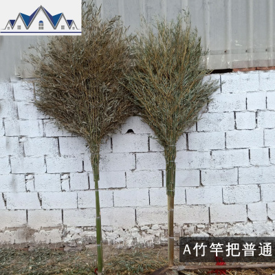 大扫把竹扫帚扫地马路扫院子的塑料丝庭院家用单个笤帚长扫室外 三维工匠