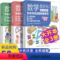 [正版]数学真好玩 有趣的数学书 全套3三册 加法与减法趣味解题书 乘法表解题游戏书给孩子的数学三书 原来数学可以这样