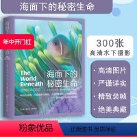 [正版]海面下的秘密生命 理查德史密斯 水下摄影 海洋生物科普 潜水 北京科学技术