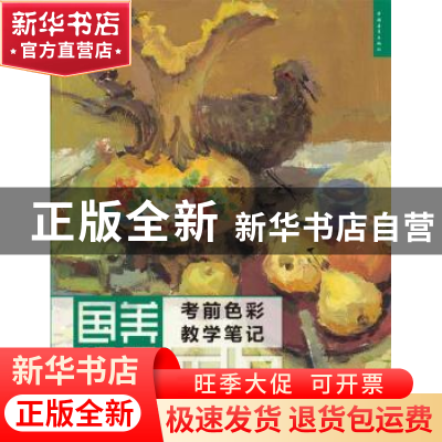 正版 国美视界:考前色彩教学笔记 王海强主编 中国青年出版社