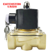 卡西斯顿 管道电磁阀 2W500-50 个