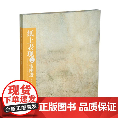 [正版书籍]纸上表现2雷刚进